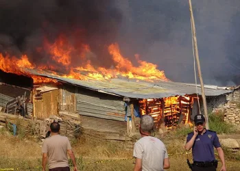 Tokat’ta korkutan yangın