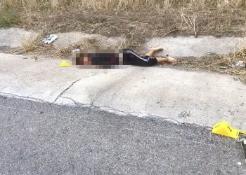 Yol kenarında kadın cesedi bulundu
