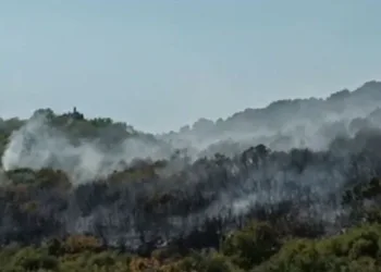 Antalya’da makilik yangını korkuttu