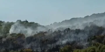 Antalya’da makilik yangını korkuttu