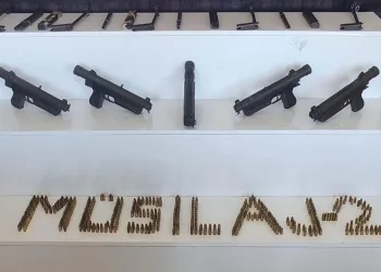 20 ilde “Müsilaj-2 Operasyonu”