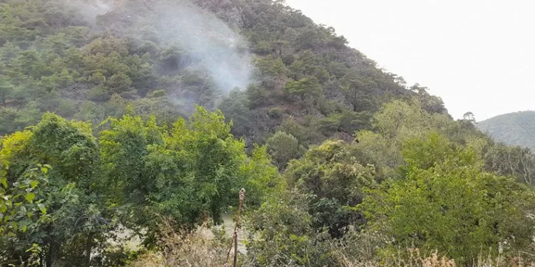 Tokat’ta ormanlık alanda yangın