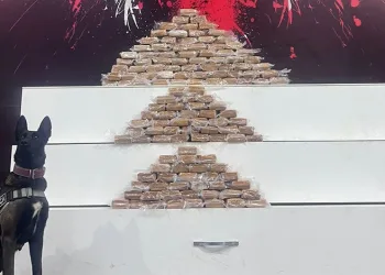 Kocaeli’de dev uyuşturucu operasyonu