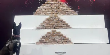 Kocaeli’de dev uyuşturucu operasyonu