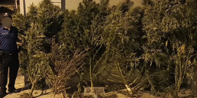 Bursa’da uyuşturucu operasyonu: 1 gözaltı