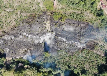 Bursa’da korkutan anız yangını