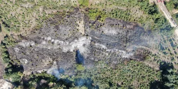 Bursa’da korkutan anız yangını