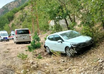 Tunceli’de araç yoldan çıktı: 3 yaralı