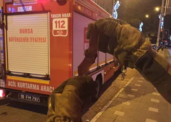 Bursa’da eve giren yarasayı itfaiye çıkardı