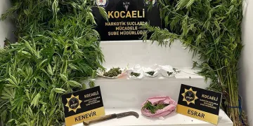 Kocaeli’de hint keneviri keserken suçüstü yakalandı