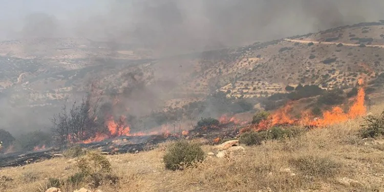 Gaziantep’te orman yangını