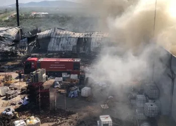 Manisa’da fabrika yangını