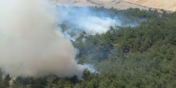 Manisa Soma’da orman yangını
