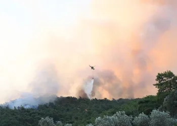 Muğla’daki yangın kontrol altına alındı