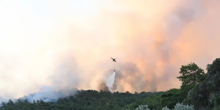 Muğla’daki yangın kontrol altına alındı