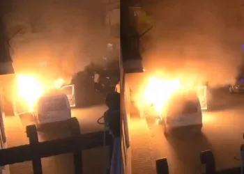 Bursa’da park halindeki kamyonet gece yarısı yandı