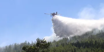 Alanya’daki orman yangını kontrol altında