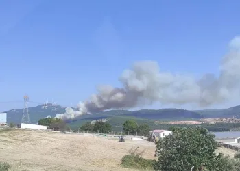 Soma’da farklı noktada ikinci orman yangını