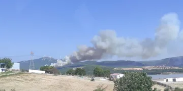 Soma’da farklı noktada ikinci orman yangını
