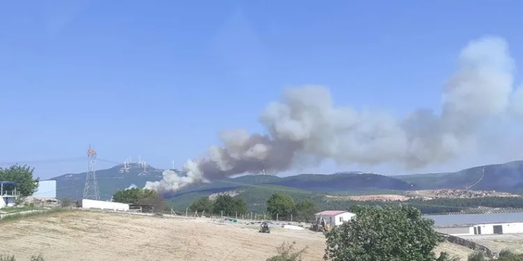Soma’da farklı noktada ikinci orman yangını