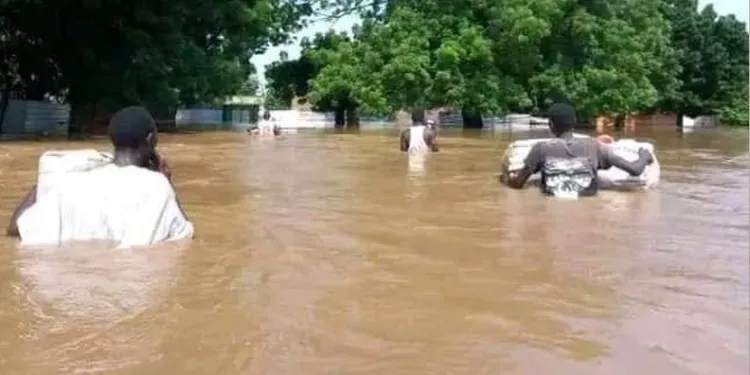 Sudan’da sel felaketi: 105 ölü