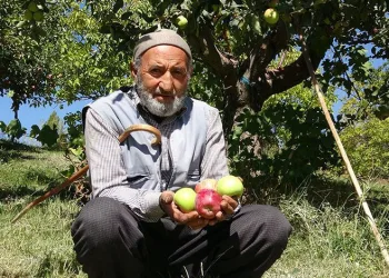 Çorak araziyi bahçeye dönüştürdü