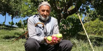 Çorak araziyi bahçeye dönüştürdü