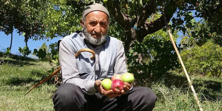 Çorak araziyi bahçeye dönüştürdü