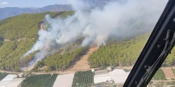 Antalya Kumluca’da orman yangını