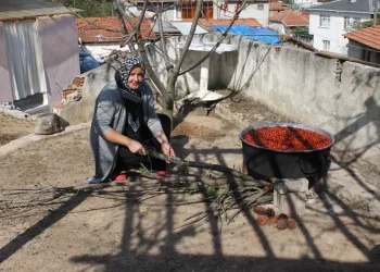 Biga’da hünnap pekmezi kazanlarda kaynamaya başladı