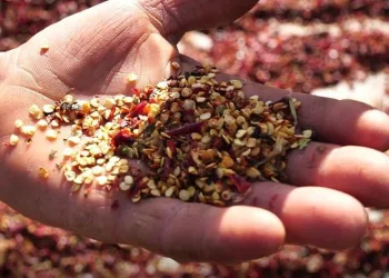 Bursa’dan çıkıp dünya sofralarında yerini alıyor