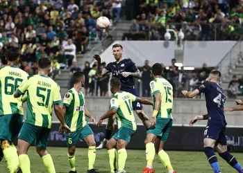 Fenerbahçe UEFA Avrupa liginde gruptan çıkmayı garantiledi