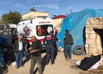 Niğde’de ahır çöktü: 1 ölü