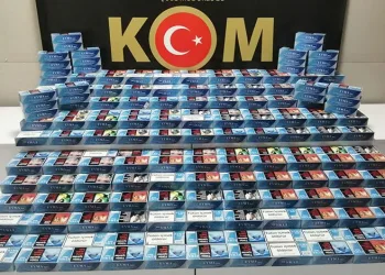 Samsun’da 100 bin dal makaron ele geçirildi