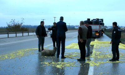Bursa'da TIR şoförünün dikkati faciayı önledi