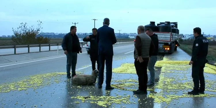 Bursa’da TIR şoförünün dikkati faciayı önledi