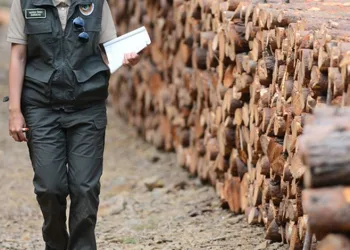 Bursa’da orman muhafaza memuru darp edildi