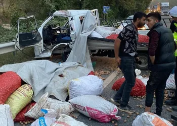 Bursa’da TIR ile ceviz yüklü kamyonet çarpıştı