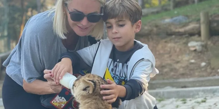 Ece Erken oğluyla yavru aslan besledi