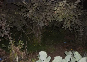 Yeni doğmuş bebek toprağa gömülü bulundu