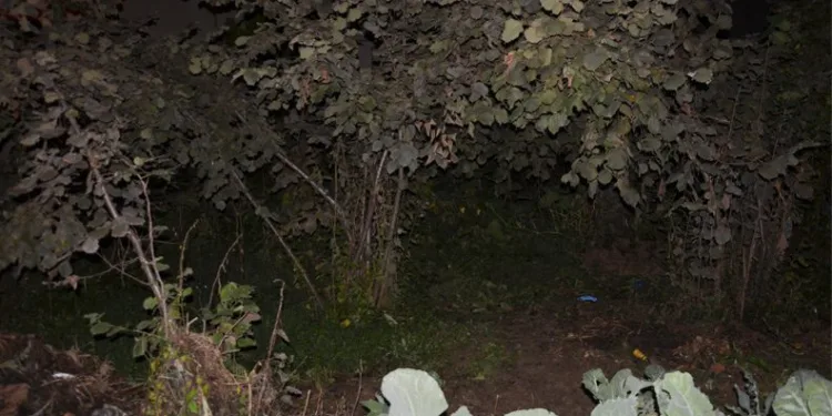 Yeni doğmuş bebek toprağa gömülü bulundu
