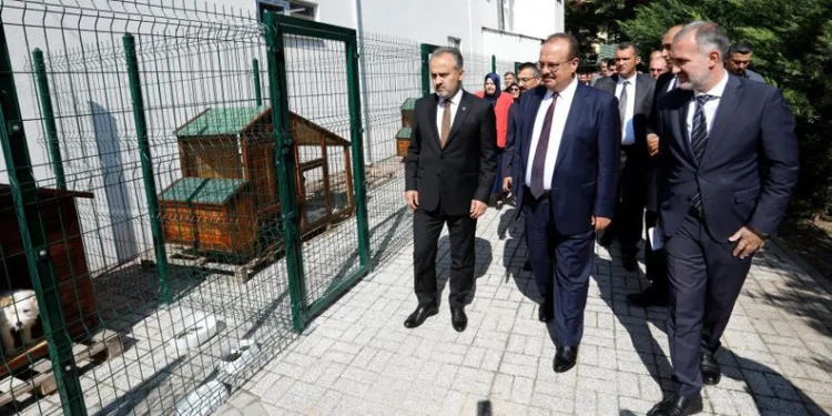 İnegöl’de okula hayvan sahiplendirildi