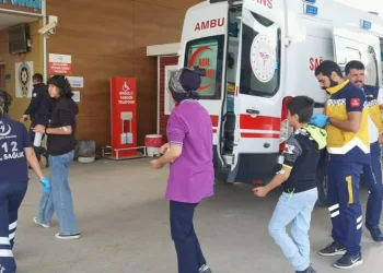 Bursa’da 15 öğrenciyi okulda arı soktu