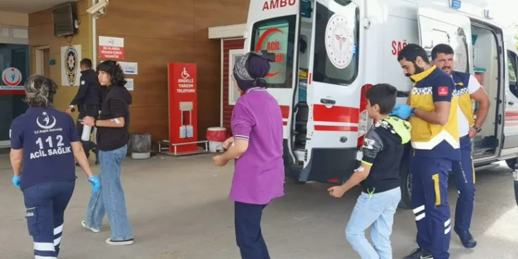 Bursa’da 15 öğrenciyi okulda arı soktu