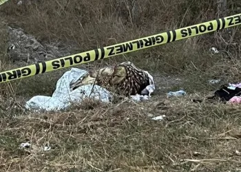 Boş arazide kadın cesedi bulundu