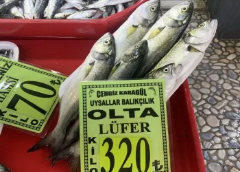 Kilosu 320 liradan tezgahlarda
