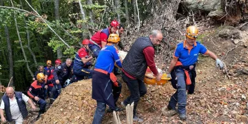 Bursa’da ağaçtan düşünce ormanda mahsur kaldı