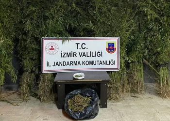 İzmir’in 4 ilçesinde uyuşturucu operasyonu