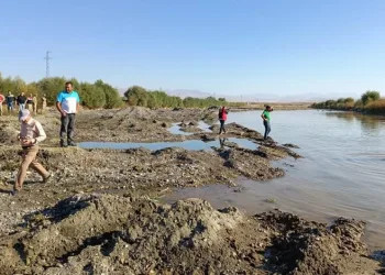 İki kardeşin cansız bedenleri bulundu