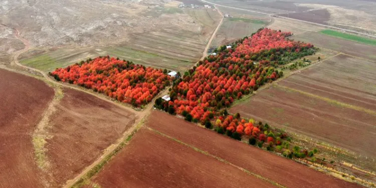 Bozkırın ortasında mest eden manzara